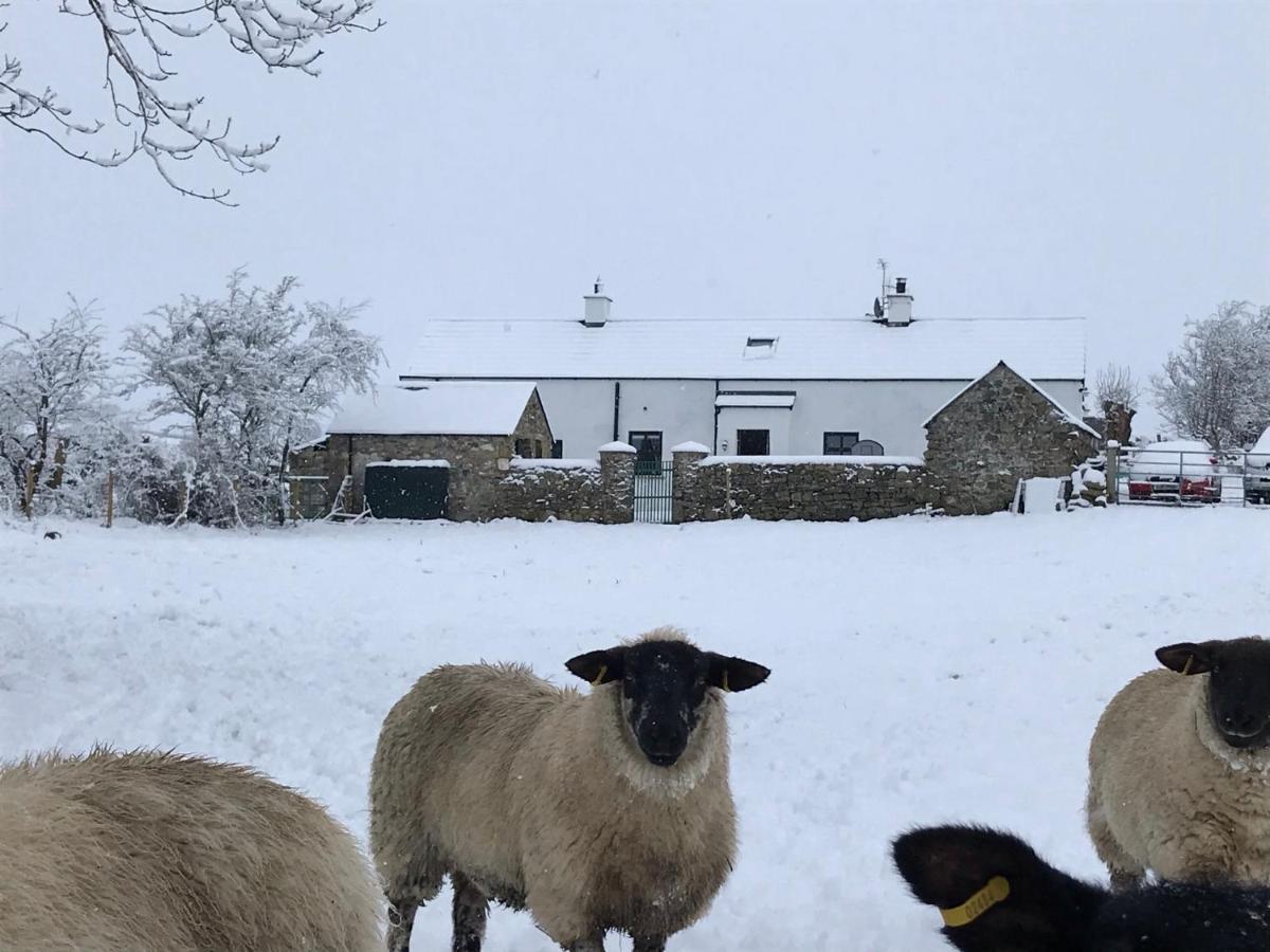 Mournes Family Cottage With Hot Tub Hilltown Luaran gambar