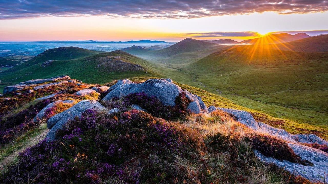 Mournes Family Cottage With Hot Tub Hilltown Luaran gambar